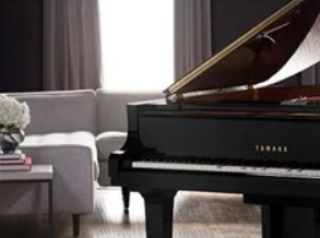 Additional image for Yamaha DGC2 ENST - Player